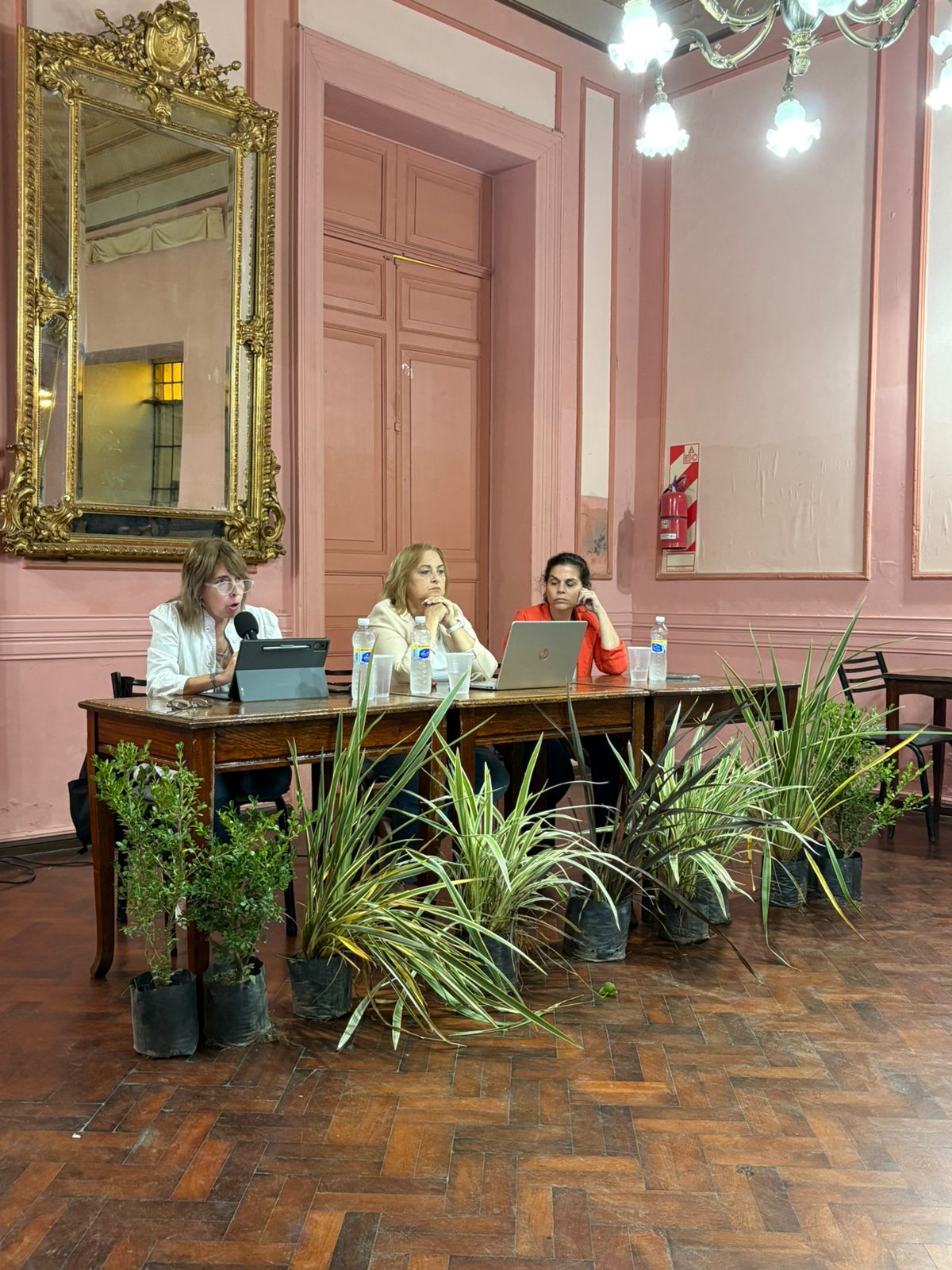 salud mental San Pedro